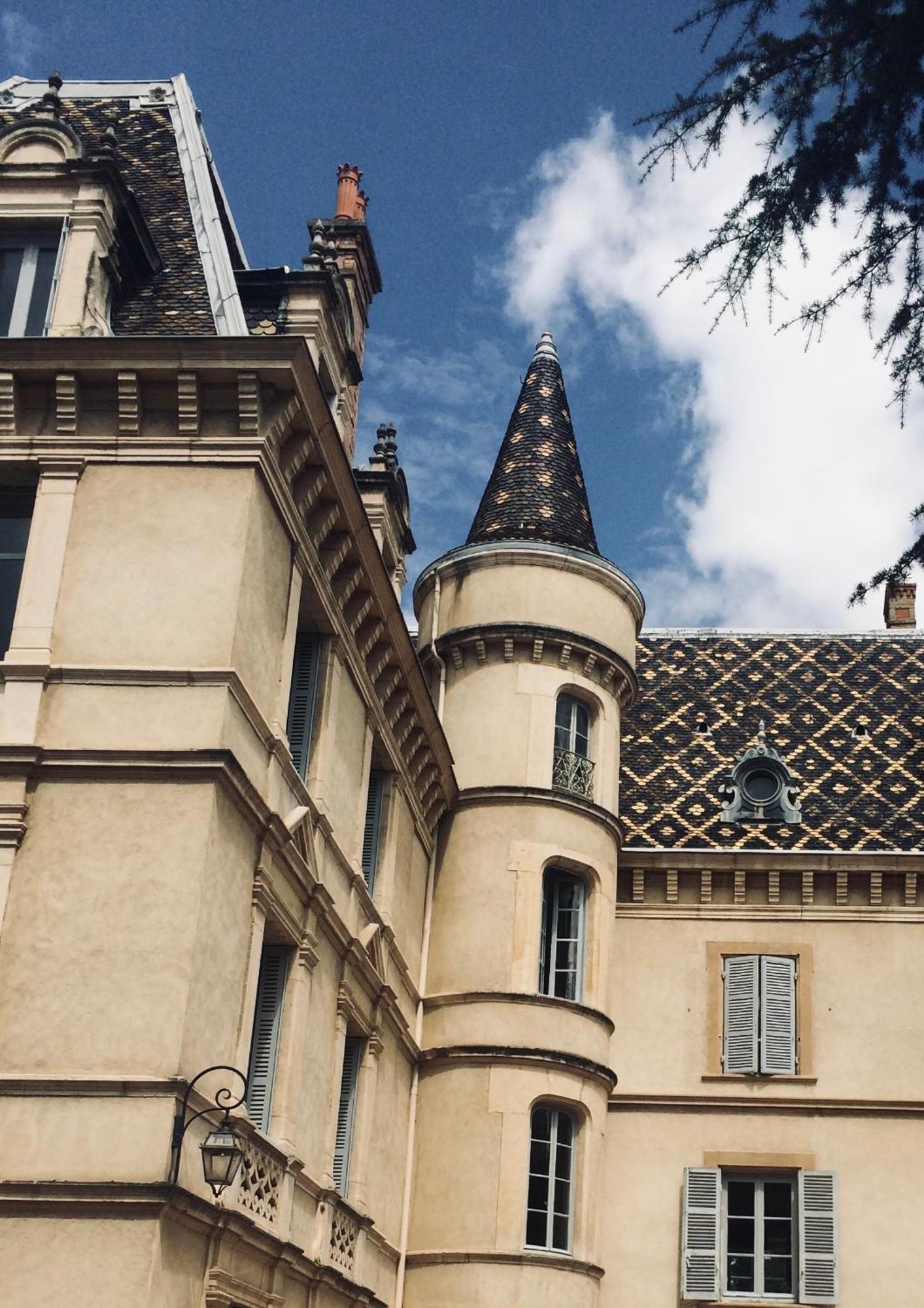 Grand Appartement D'Exception Au Chateau Randin Écully Buitenkant foto