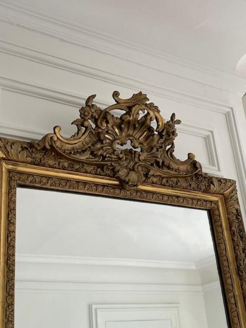 Grand Appartement D'Exception Au Chateau Randin Écully Buitenkant foto