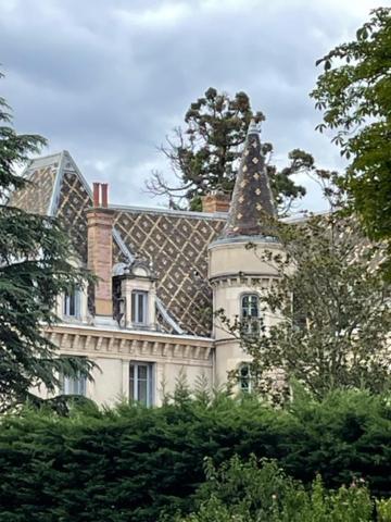 Grand Appartement D'Exception Au Chateau Randin Écully Buitenkant foto