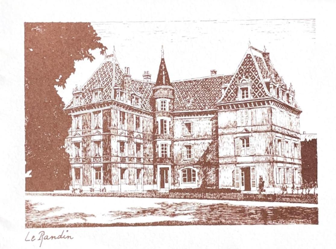 Grand Appartement D'Exception Au Chateau Randin Écully Buitenkant foto