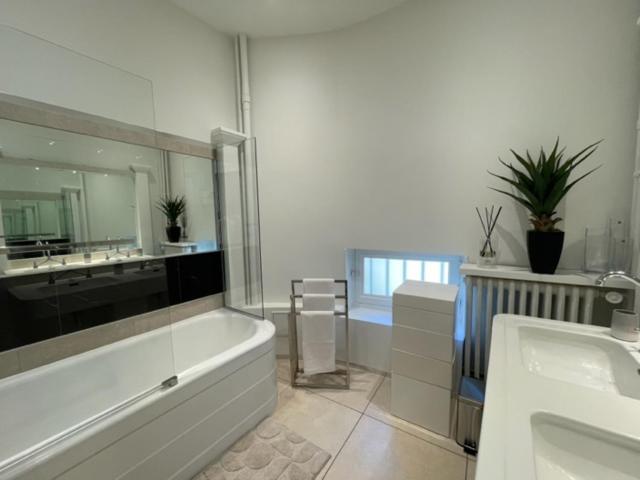 Grand Appartement D'Exception Au Chateau Randin Écully Buitenkant foto